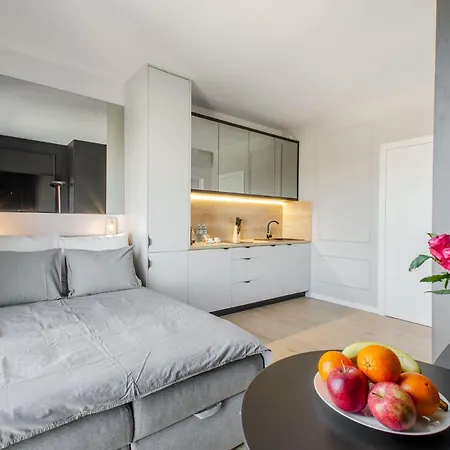 Apartament Centrum Wigury Dostep Na Kod Blisko Galeria Lodzka Piotrkowska Szary Екстер'єр фото