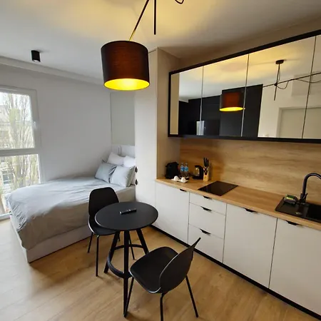 Apartament Centrum Wigury Dostep Na Kod Blisko Galeria Lodzka Piotrkowska Szary Екстер'єр фото