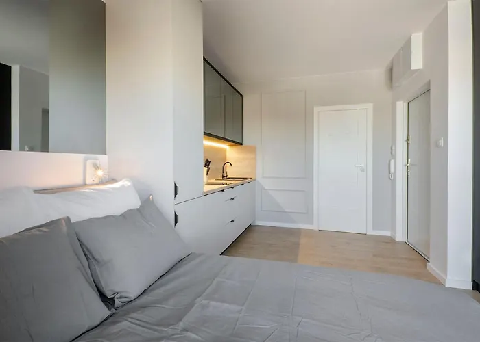 Apartament Centrum Wigury Dostep Na Kod Blisko Galeria Lodzka Piotrkowska Szary